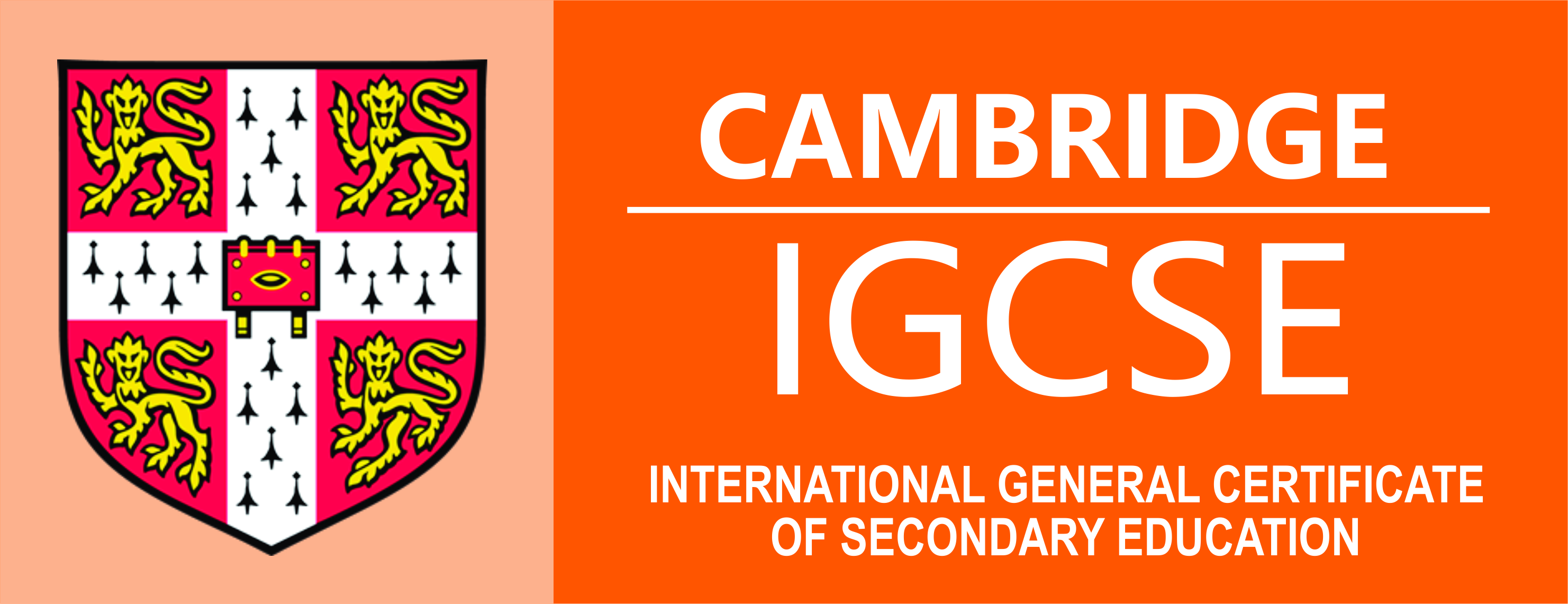 Logo 4